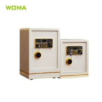 Digital Home Safe