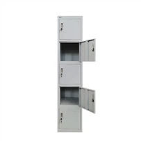 Grauer Einzelschrank mit 5 Türen